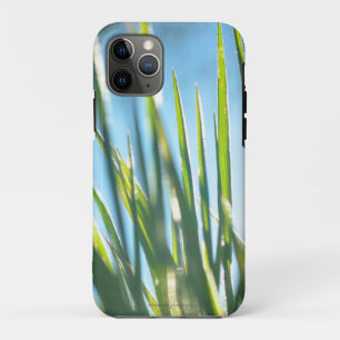 Sunlit Blades Case-Mate iPhone Hülle
