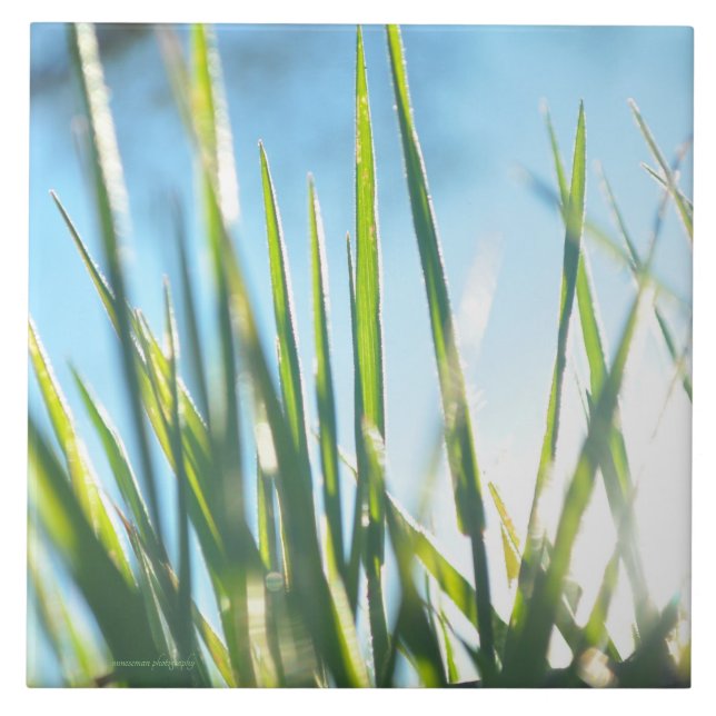 Sunlit Blades Fliese (Vorderseite)