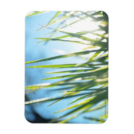 Sunlit Blades Magnet