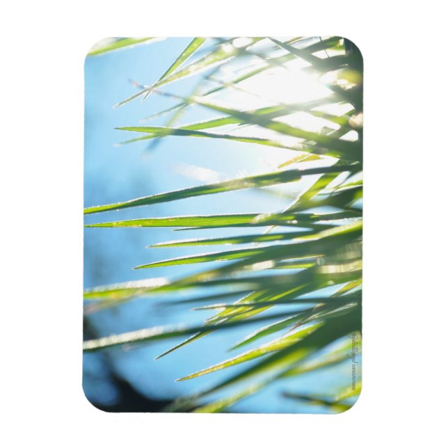 Sunlit Blades Magnet (Vertikal)