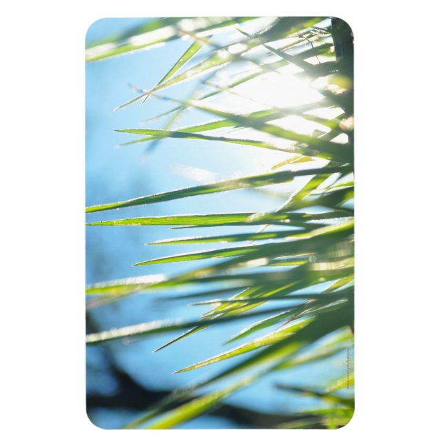 Sunlit Blades Magnet (Vertikal)