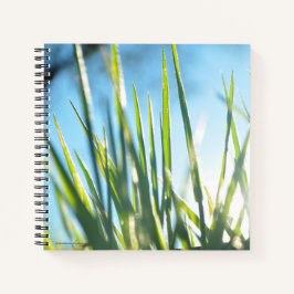 Sunlit Blades Notizbuch