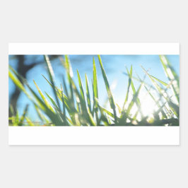 Sunlit Blades Rechteckiger Aufkleber