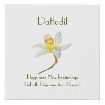 Sunlit Daffodil mit Blume