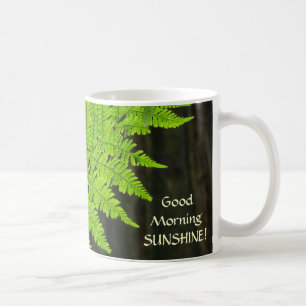 SUNLIT FARNE Tassen-guter Kaffeetasse