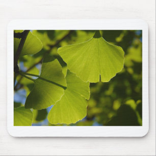 Sunlit Ginkgo-Blätter Mousepad