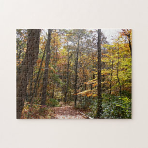 Sunlit Herbstweg im Laurel Hill Staat Park