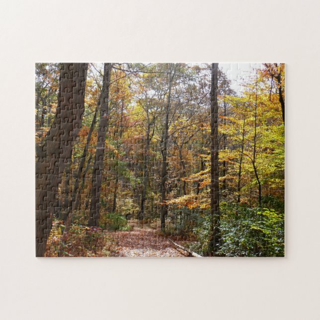 Sunlit Herbstweg im Laurel Hill Staat Park (Horizontal)