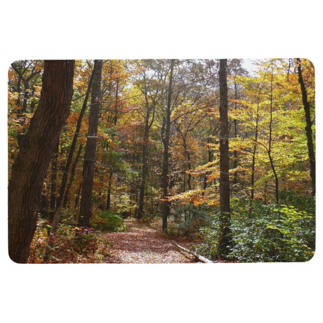 Sunlit Herbstweg im Laurel Hill Staat Park Bodenmatte (Vorderseite)