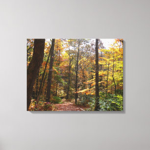 Sunlit Herbstweg im Laurel Hill Staat Park Leinwanddruck