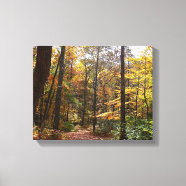 Sunlit Herbstweg im Laurel Hill Staat Park Leinwanddruck