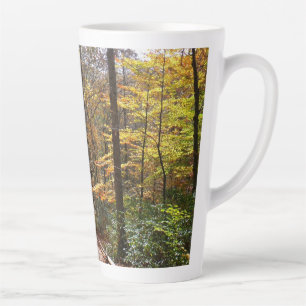 Sunlit Herbstweg im Laurel Hill Staat Park Milchtasse