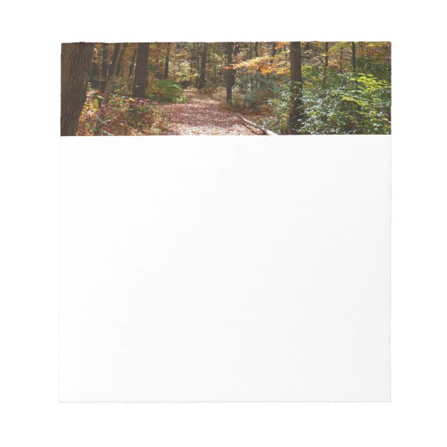 Sunlit Herbstweg im Laurel Hill Staat Park Notizblock (Vorderseite)