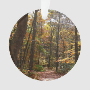 Sunlit Herbstweg im Laurel Hill Staat Park Ornament
