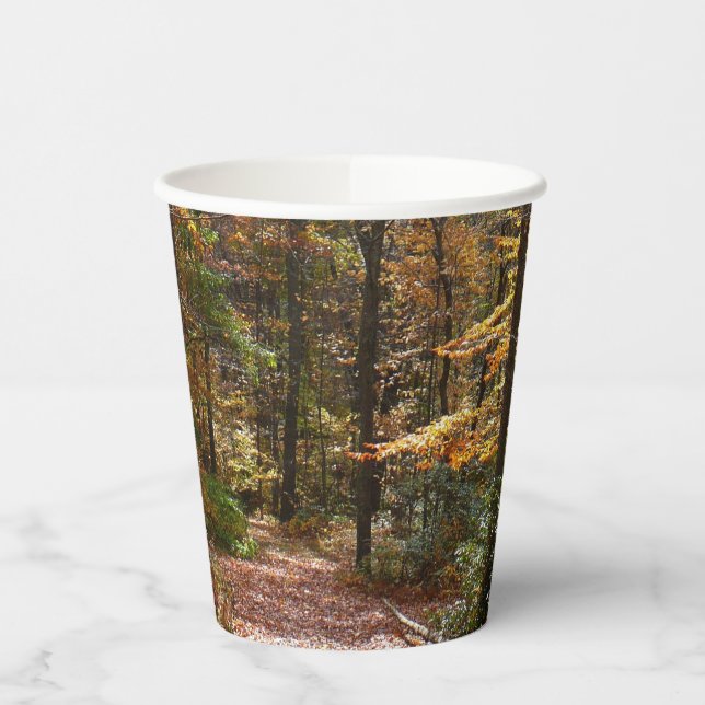 Sunlit Herbstweg im Laurel Hill Staat Park Pappbecher (Links)