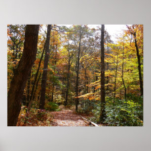Sunlit Herbstweg im Laurel Hill Staat Park Poster