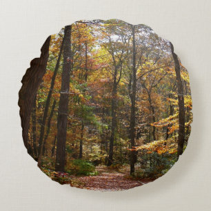Sunlit Herbstweg im Laurel Hill Staat Park Rundes Kissen