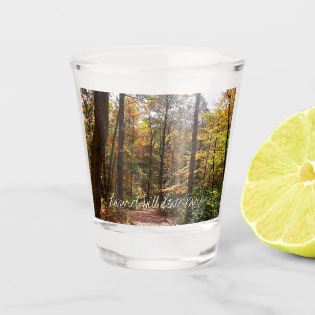 Sunlit Herbstweg im Laurel Hill Staat Park Schnapsglas (Vorderseite)