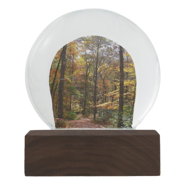 Sunlit Herbstweg im Laurel Hill Staat Park Schneekugel (Vorderseite)