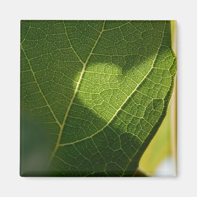 Sunlit Leaf Heart Magnet (Vorne)