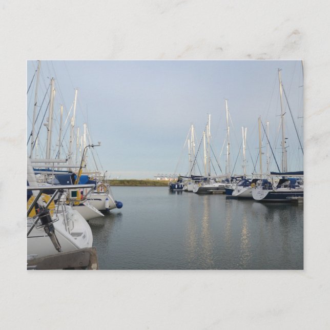 Sunlit Masts Postkarte (Vorderseite)