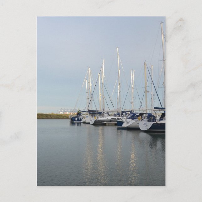 Sunlit Masts Postkarte (Vorderseite)