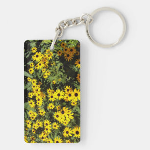 Sunlit Meadow