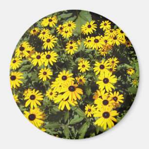 Sunlit Meadow Magnet