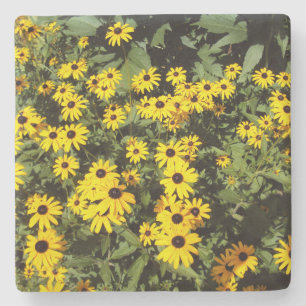 Sunlit Meadow Steinuntersetzer