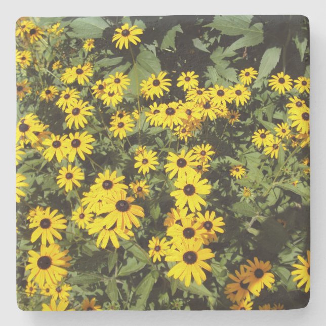 Sunlit Meadow Steinuntersetzer (Vorderseite)
