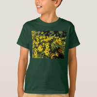 Sunlit Meadow