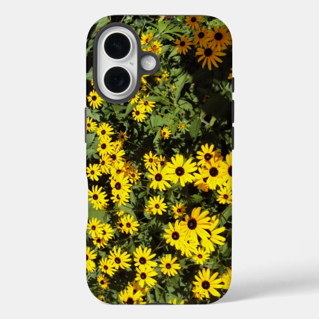 Sunlit Meadow title_seo2 (Rückseite)