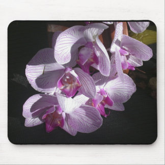 Sunlit Orchideen Mousepad