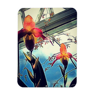 Sunlit Orchids Flexi Foto Magnet