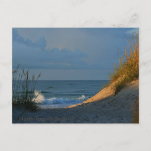"Sunlit" Postkarte