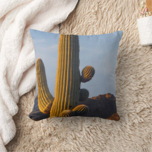 Sunlit Saguaro Cactus - Coussin