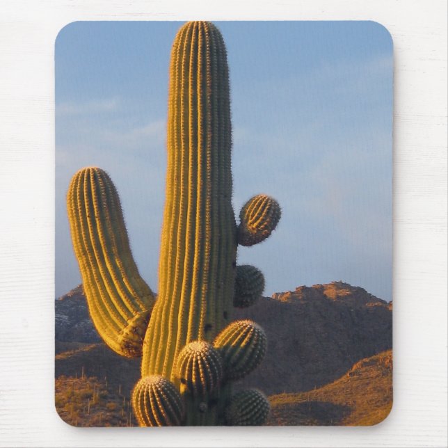 Sunlit Saguaro Cactus - Mousepad (Vorne)