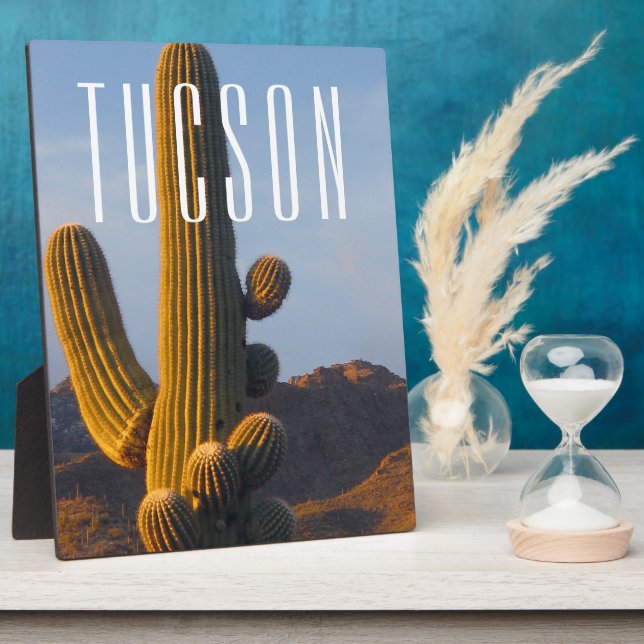 Sunlit Saguaro Tucson Scene Fotoplatte (Seite)