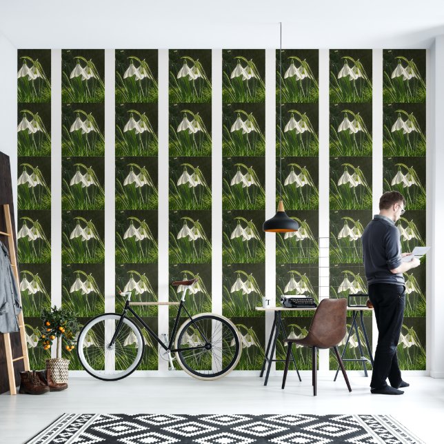 Sunlit Snowdrops Wallpaper Tapete (Wohnbereich)