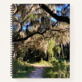 Sunlit Spanish Moss Notizbuch