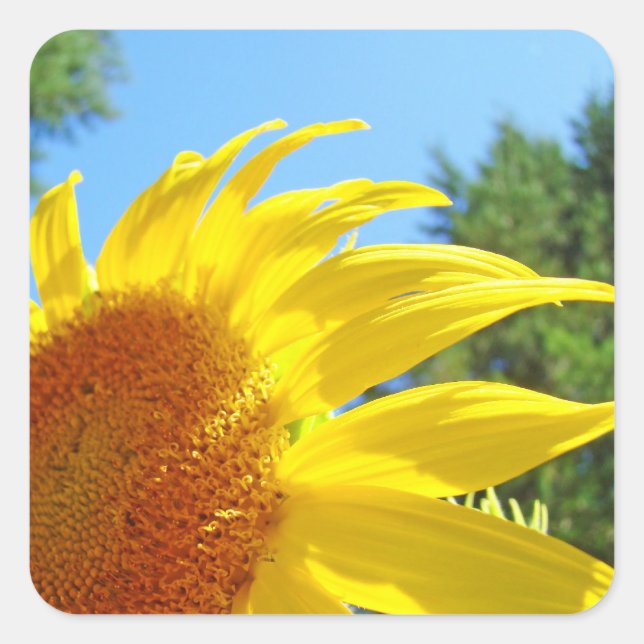 Sunlit Sunflower Aufkleber Siegel Personalisieren  (Vorderseite)