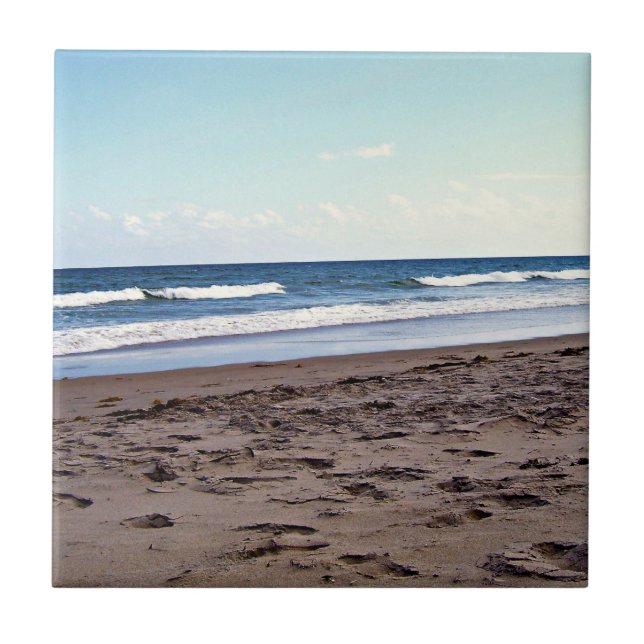 Sunlit Tropical Florida Coast Scene Fliese (Vorderseite)