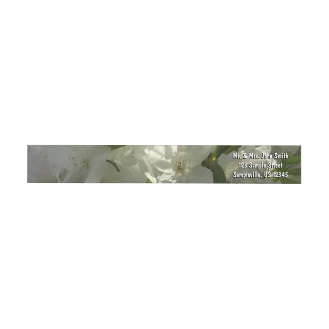 Sunlit White Azaleas Schöne Frühlingsblumen (Person)