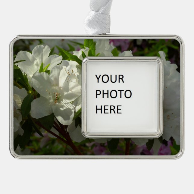 Sunlit White Azaleas Schöne Frühlingsblumen Rahmen-Ornament Silber (Vorderseite)