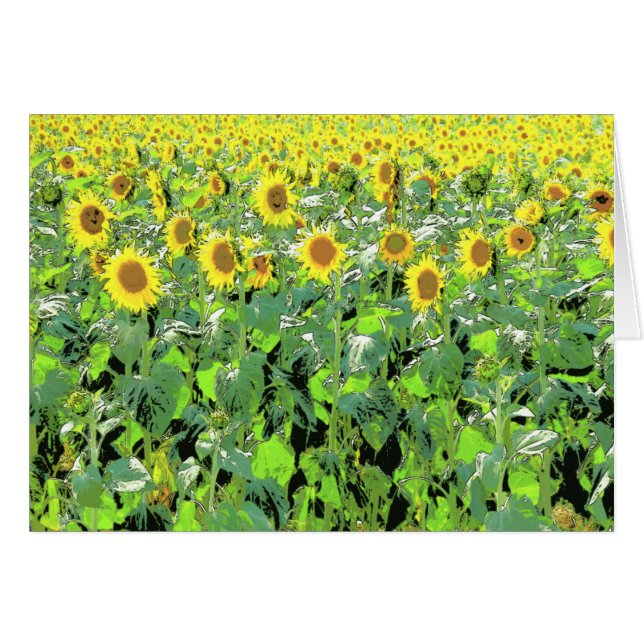 Sunnies (Devant horizontal)