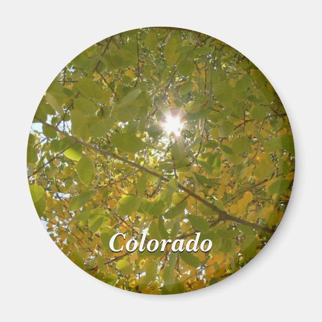 Sunny Aspen Magnet (Vorne)