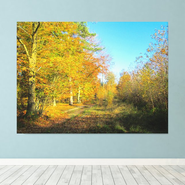 Sunny Autumn Forest - Leinwanddruck (Insitu (Holzboden))