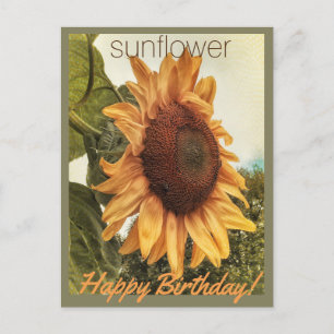 Sunny Birthday wünscht Postcard Postkarte