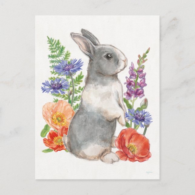 Sunny Bunny Postkarte (Vorderseite)