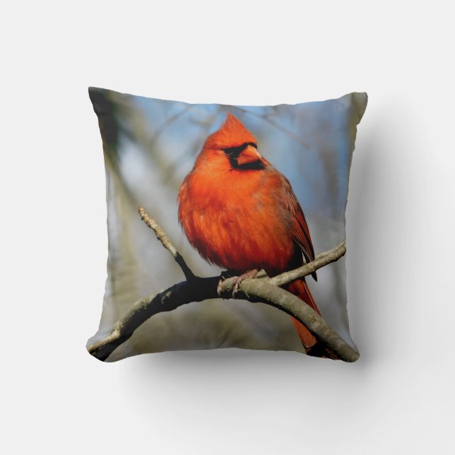 Sunny Cardinal Crest Coussin (Recto)